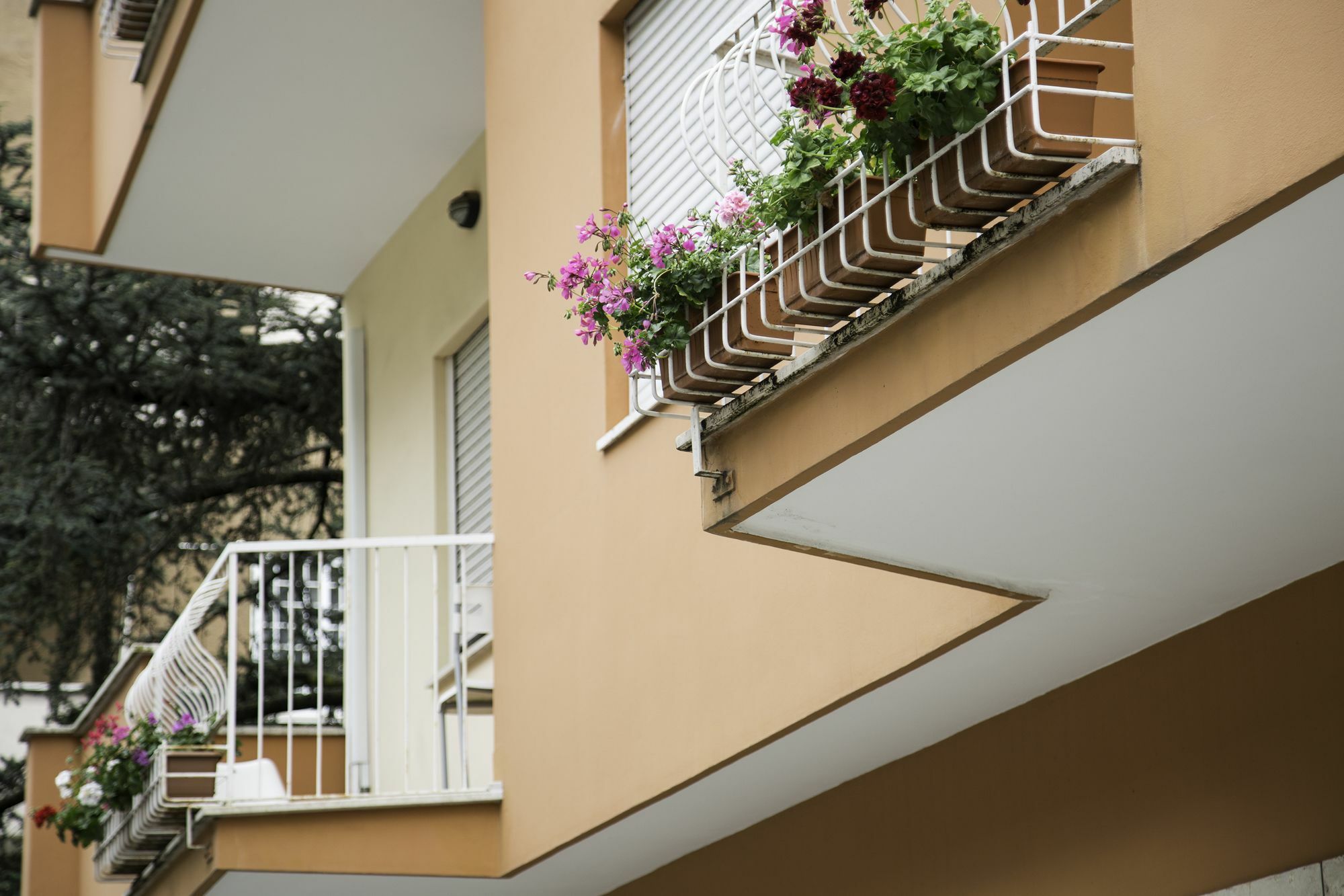 Bed & Breakfast Talenti Breme Roma