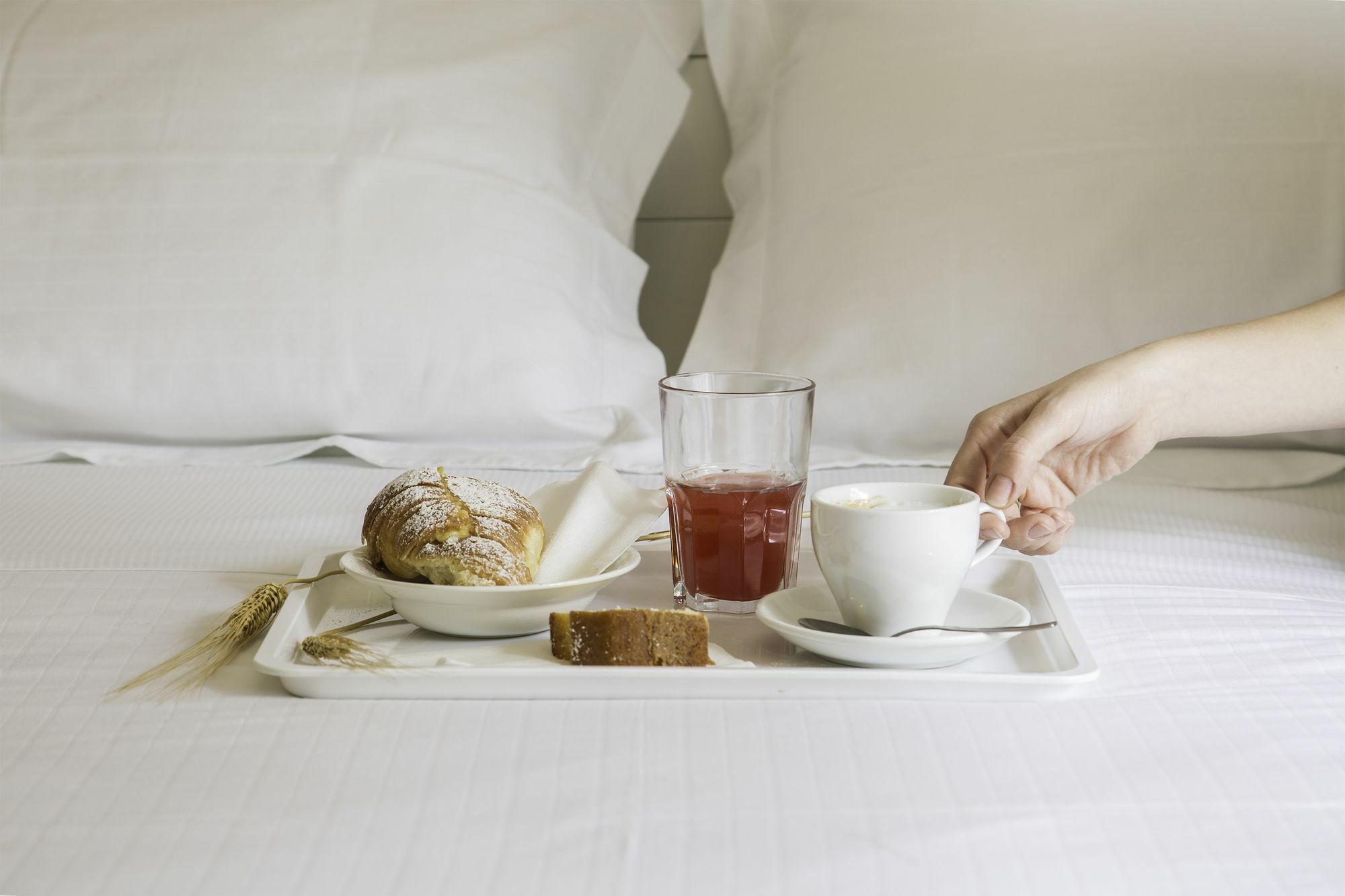 Talenti Breme Bed & Breakfast Rome